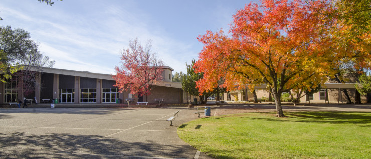 Image of the campus quad