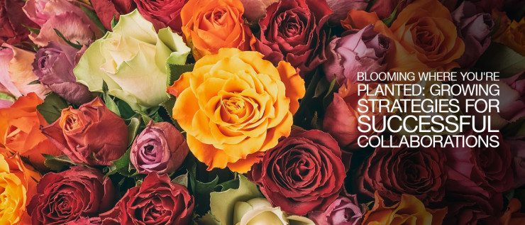 Image of flowers with a quote about blooming