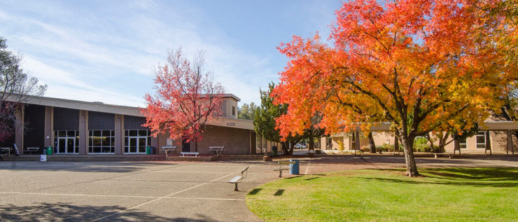 Picture of the campus quad
