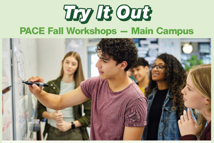 Workshop flyer image