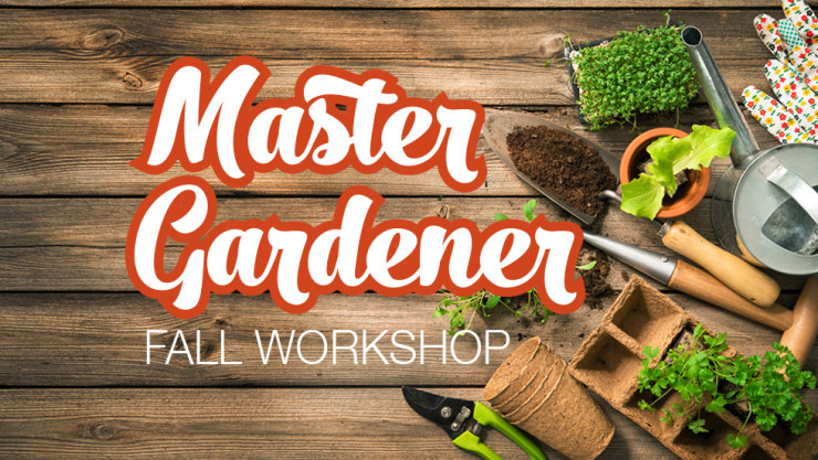 Master Gardener Fall Worksop