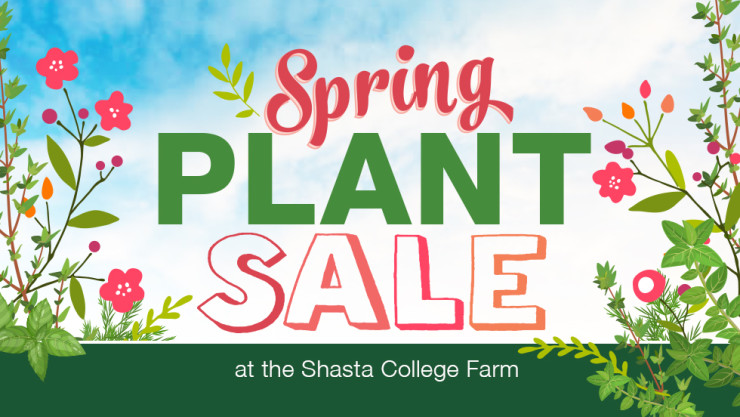 Spring plant sale with flowers