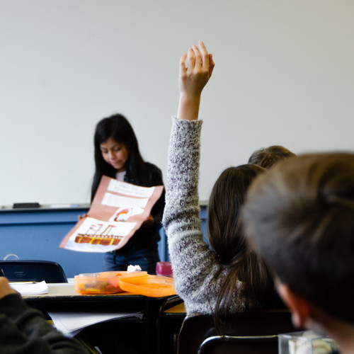 Teacher working with students