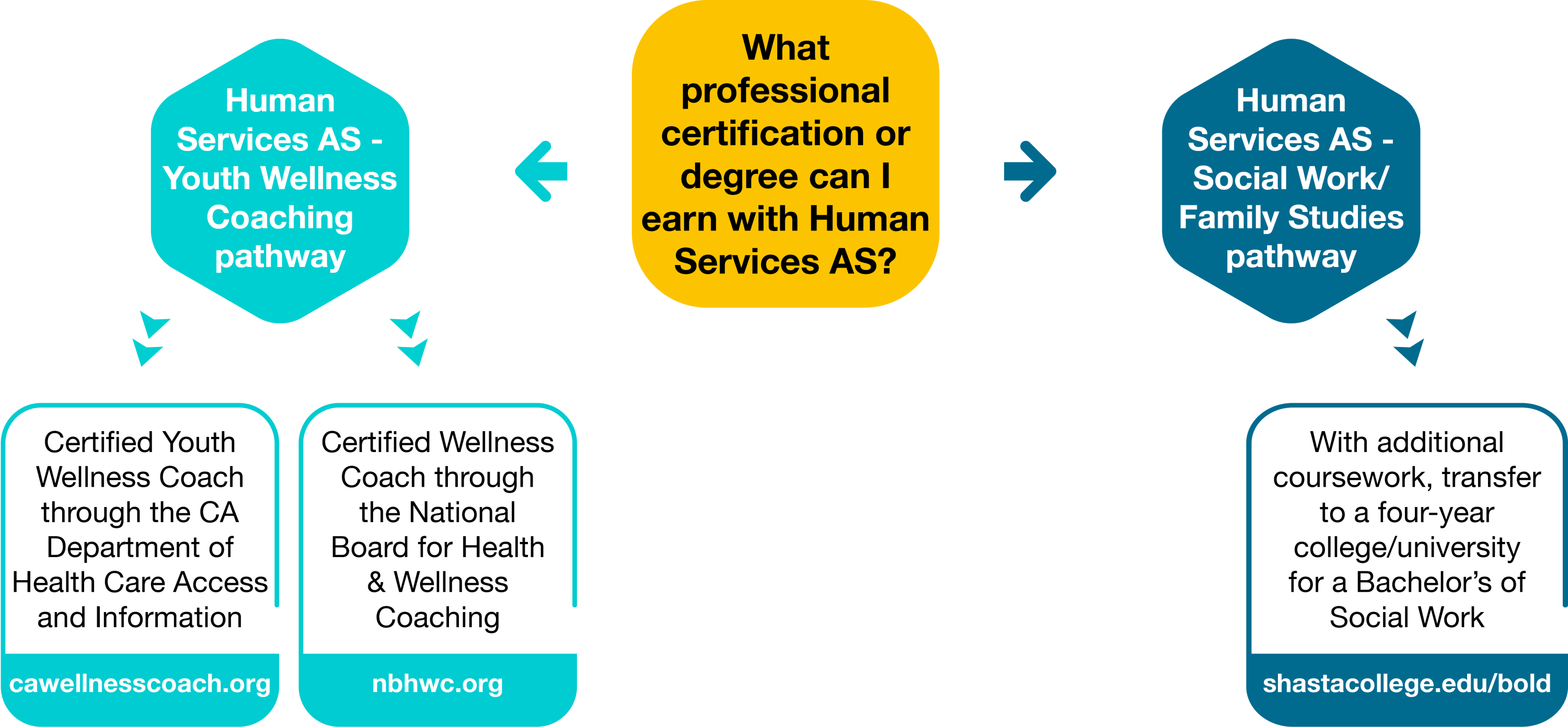 Graphic showing the certification one can earn with Human Services AS